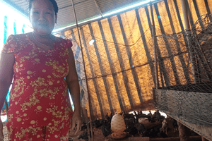 Nhiều hoạt động ý nghĩa được 03 cụm thi đua thuộc  Hội LHPN huyện Đăk R’lấp tổ chức trong năm 2024